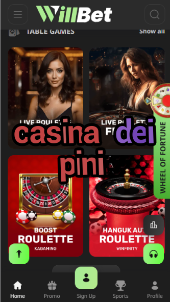 Casina dei Pini - Luxury Pine-Themed Casino Resort-casinoorder.vip